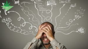 ADHD – CBD Olie