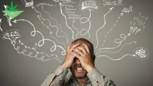 ADHD – CBD Olie