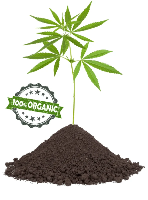 Økologisk hamp Natural Hemp Life