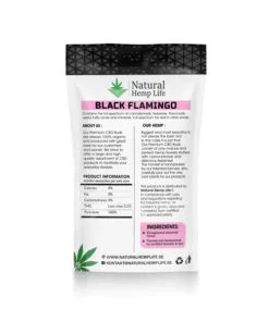 Black Flamingo Back