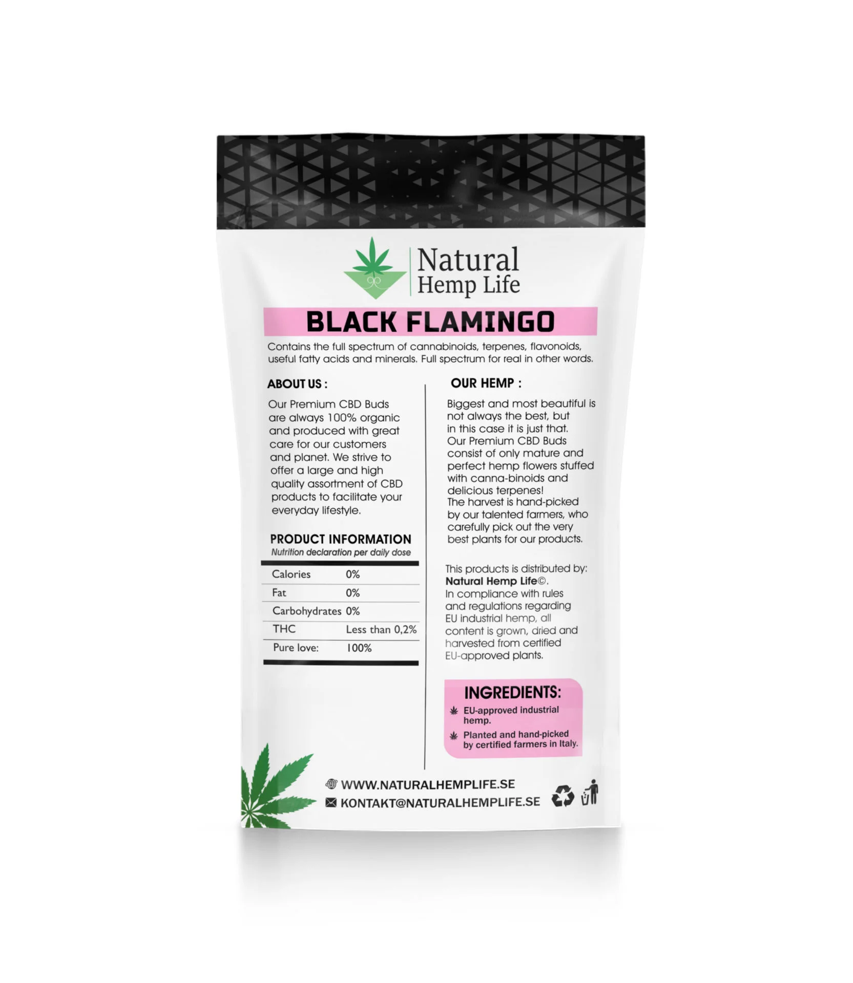 Black Flamingo Back