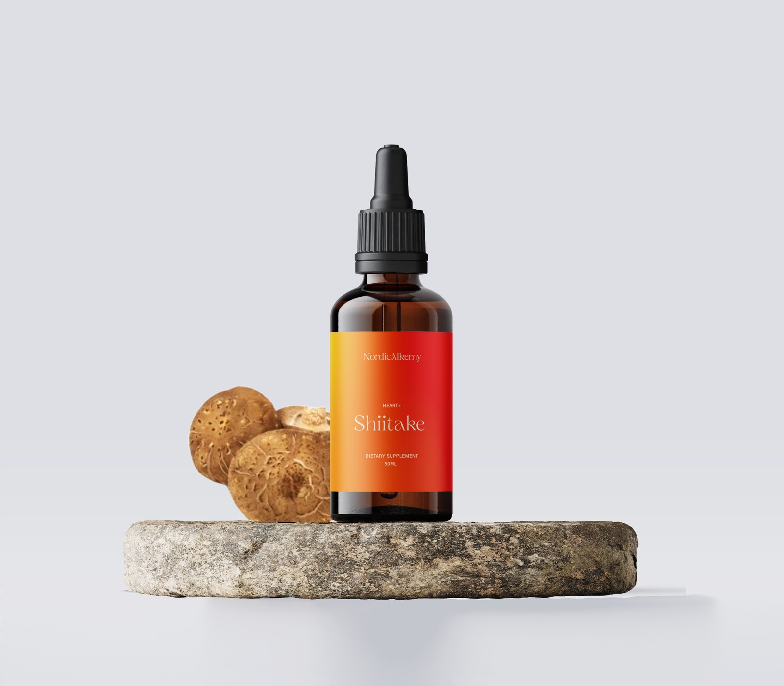Shiitake Tinktur och svamp
